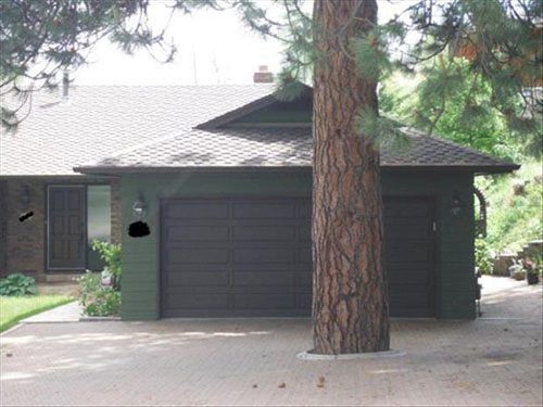 tree-infront-of-garage