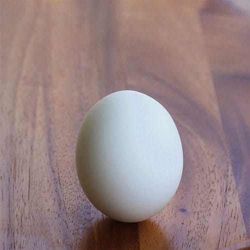 DIY-egg