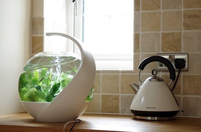 self-cleaning-fish-tank