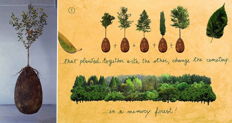 Turn Your Loved Ones Into Trees With These Organic Burial Pods 