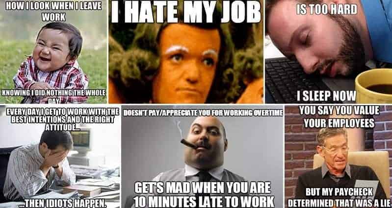 Amusing Work Related Memes That We Can All Identify With ...