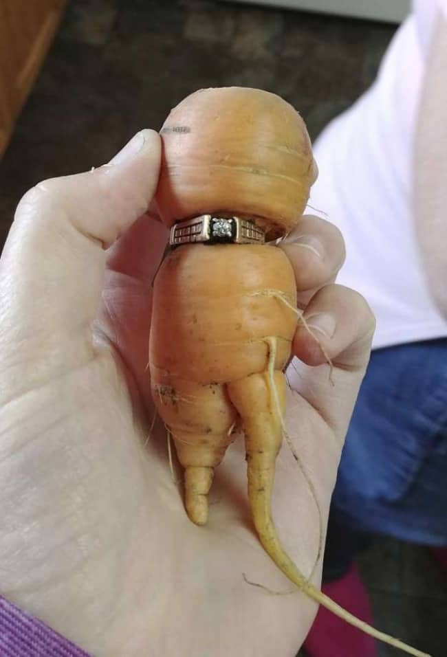 People Who Recovered Their Lost Treasures ring on carrot