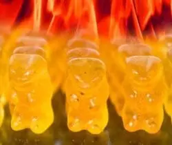Hot Gummy Bears