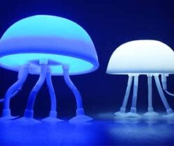 Jellyfish Lamps