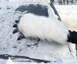 Starwars Wompa Arm Scraper