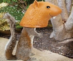 Big Head Squirrel Feeder