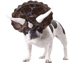 Triceratops Dog Costume