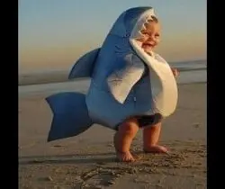 Baby Shark Costume