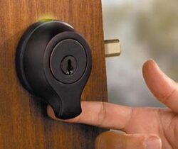 Finger Scanning Door Lock