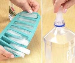 Ice Sticks Tray