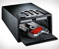 Fingerprint Gun Safe