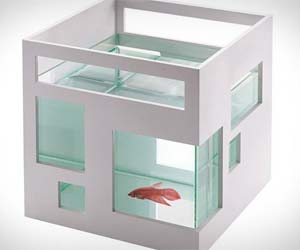 Fish Hotel Aquarium
