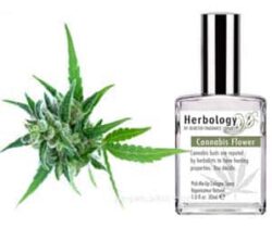 Cannabis Cologne