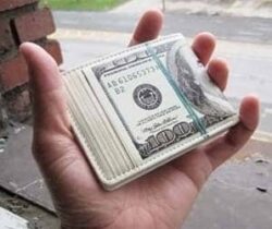 Dollar Stacks Wallet