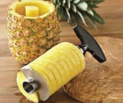 Pineapple Corer