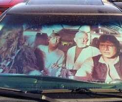 Millennium Falcon Sunshade
