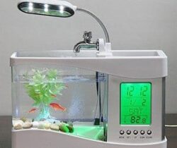Fish Tank Clock