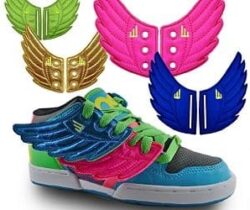 Shoe Wings