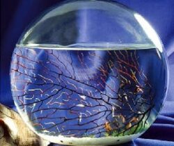 ecosystem sphere