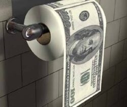 money toilet roll