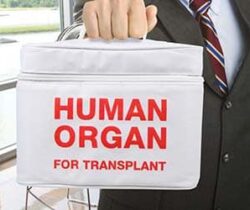 organ transplant lunch bag
