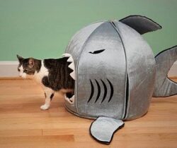 Shark Bed For Pets