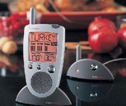 talking meat thermometer