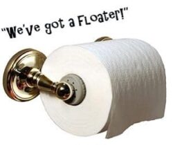 talking toilet roll holder