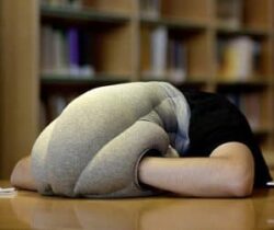 the nap pillow