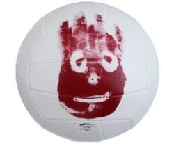 wilson castaway volleyball