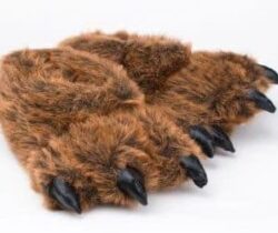 bear feet slippers