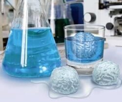 brain ice cubes