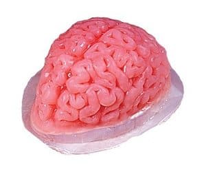brain jello mold
