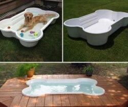 dog bone pool