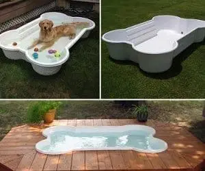 dog bone pool