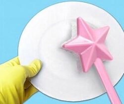 fairy wand dish brush
