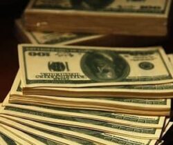 hundred dollar bill napkins