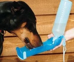 pet water bottle
