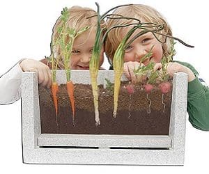 root view growing box