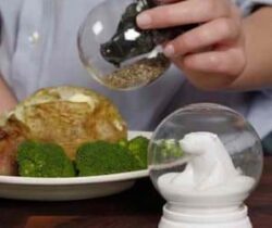 salt & pepper snow globes