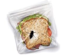 bug sandwich bags