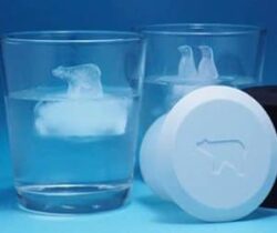 penguin & polar bear ice