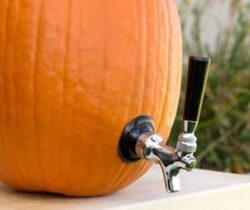 pumpkin tap kit