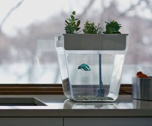 SELF-CLEANING-FISH-TANK