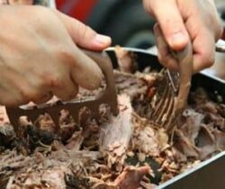 bear claw meat forks