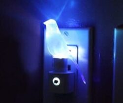 blue canary night light