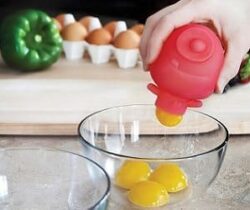 easy egg separator