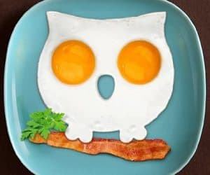 owl shaped egg mold