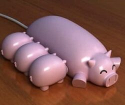 pig usb hub