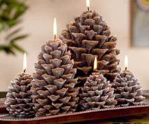 pine cone candles